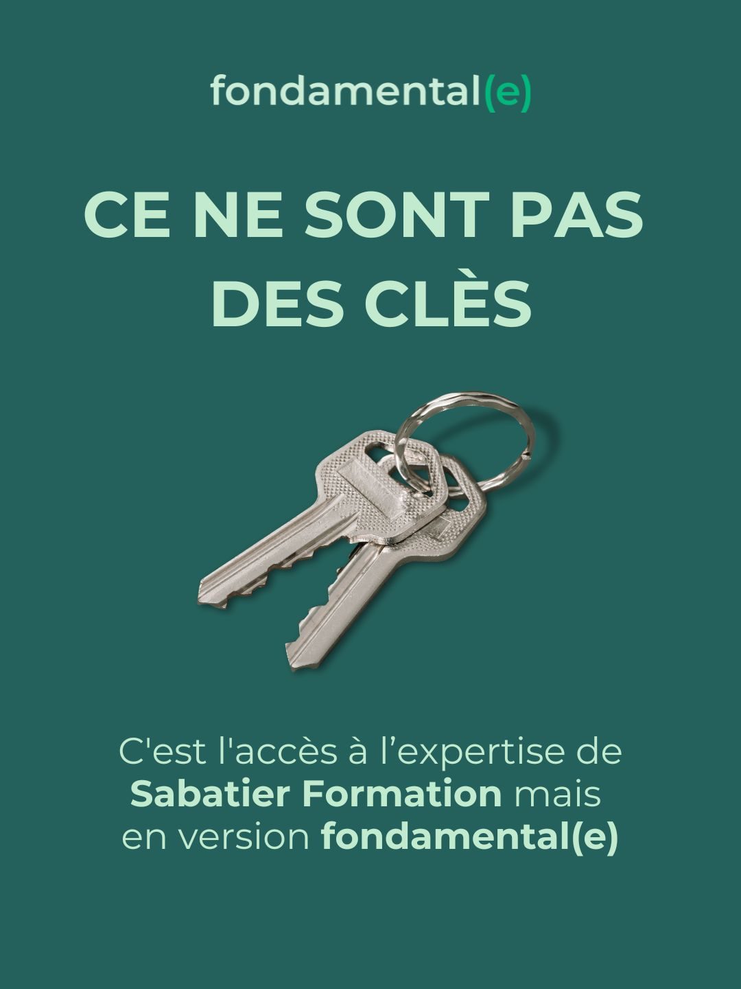 La formation, sans vous arracher les cheveux